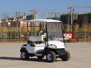 電動(dòng)高爾夫球車(chē)2座